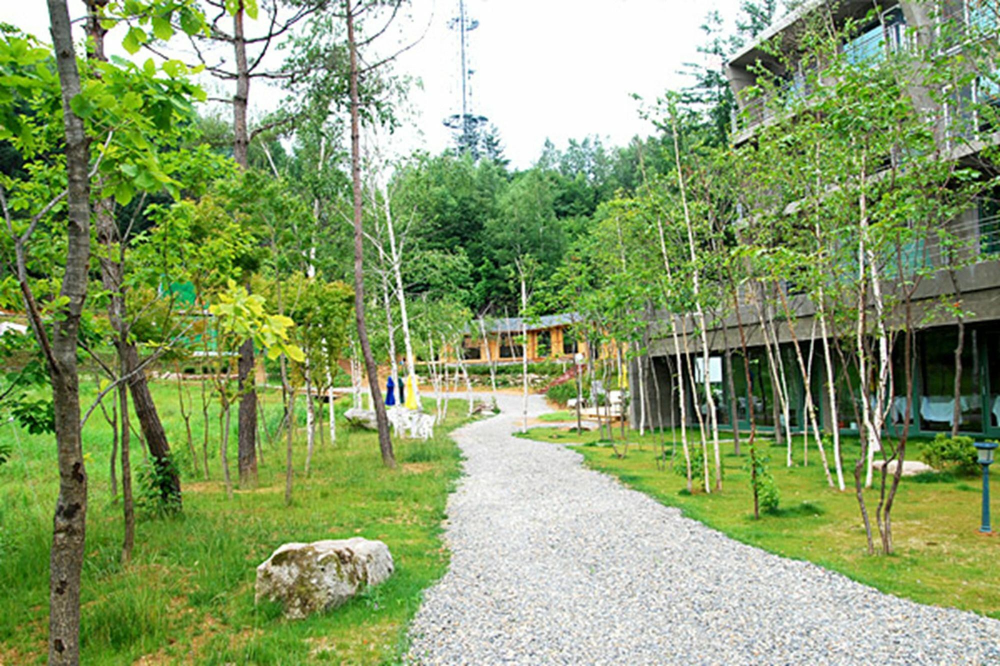 Hotel Pyeongchang The Sky Forest Exteriér fotografie