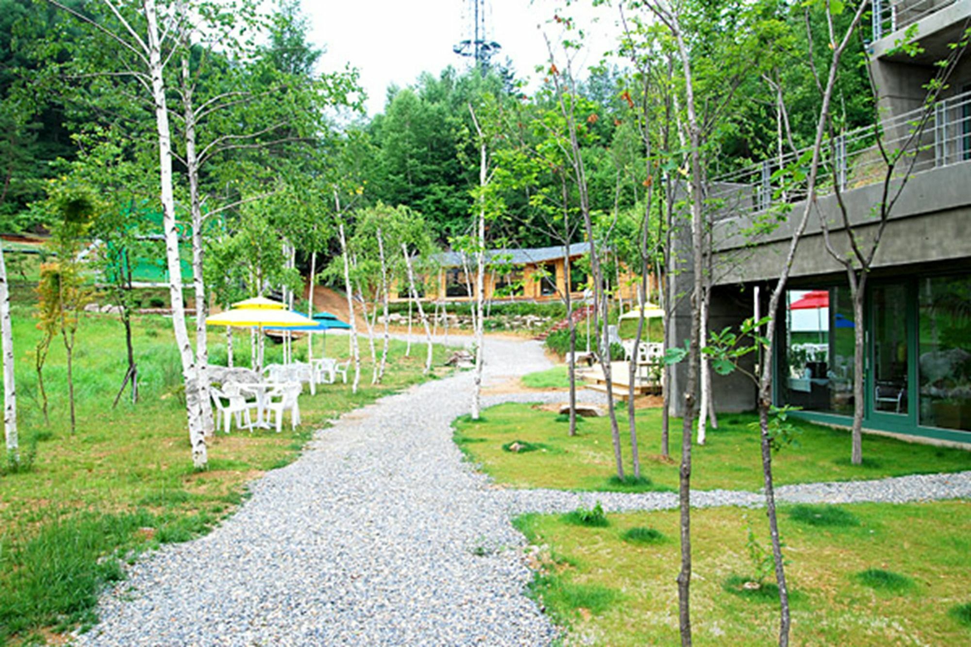 Hotel Pyeongchang The Sky Forest Exteriér fotografie